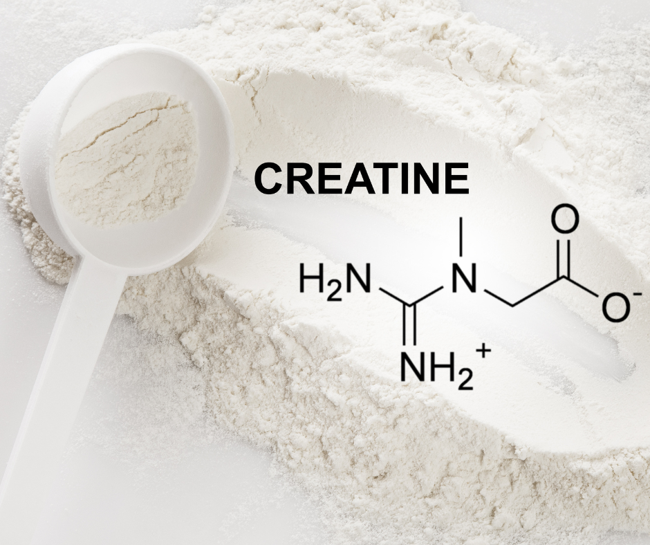 Creatine why we take it